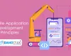 Mobile App Development Principles